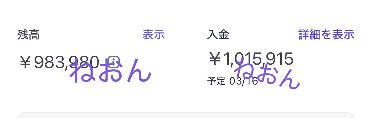 入金実績 1,015,915円