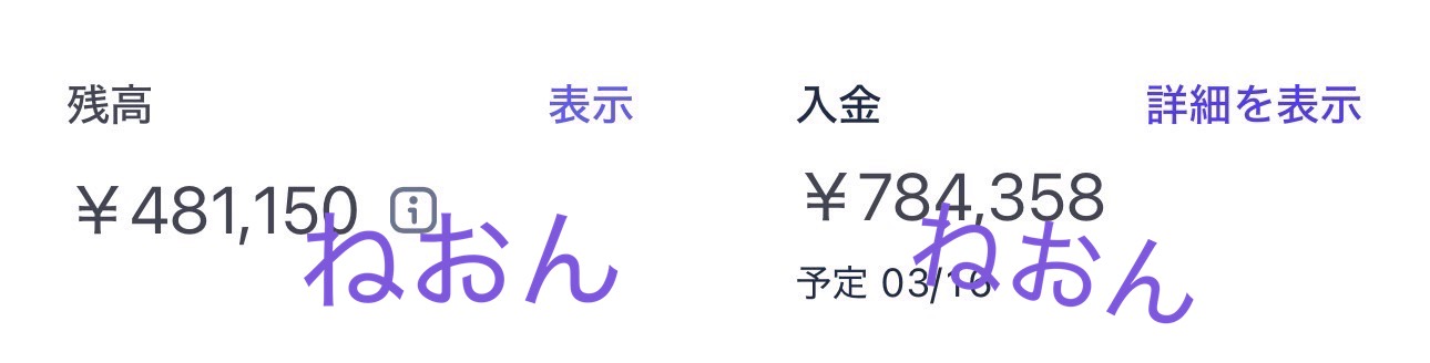 入金実績 784,358円