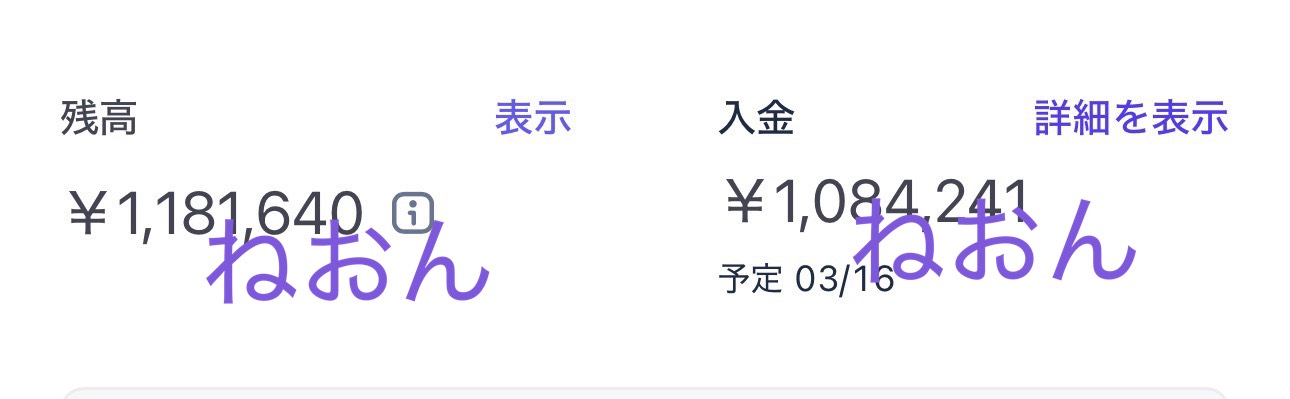 入金実績 1,084,241円