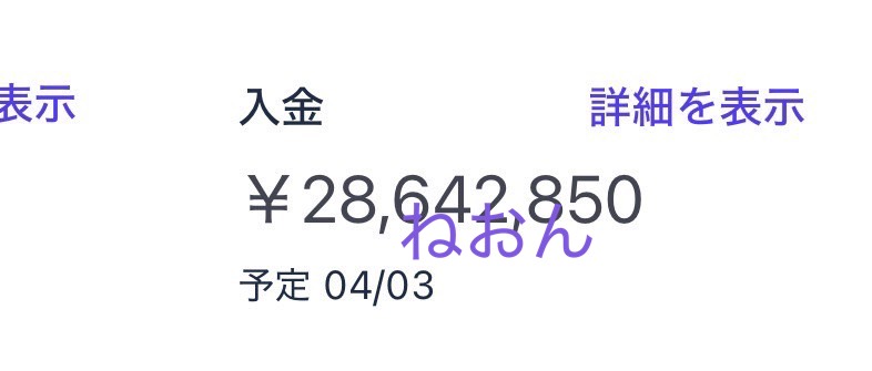 入金実績 28,642,850円